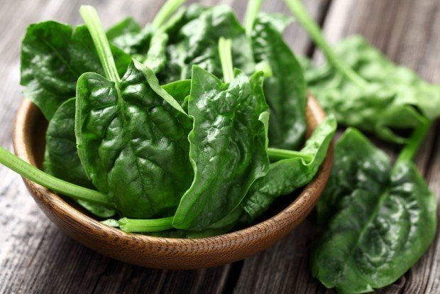 Spinach for plant protein