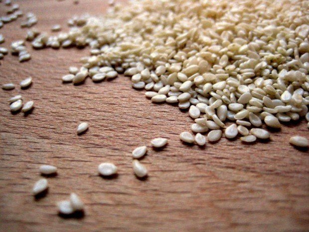 Sesame seeds for protein support