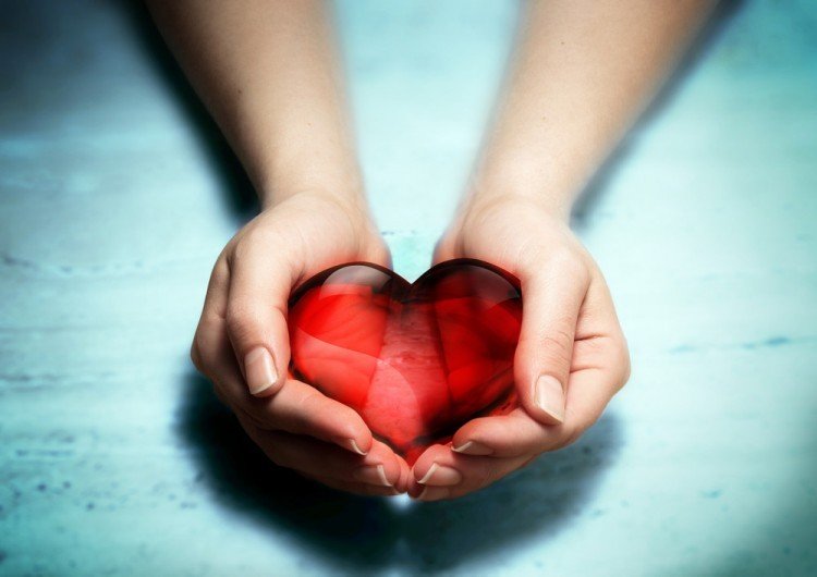 Cholesterol | Longevity Live