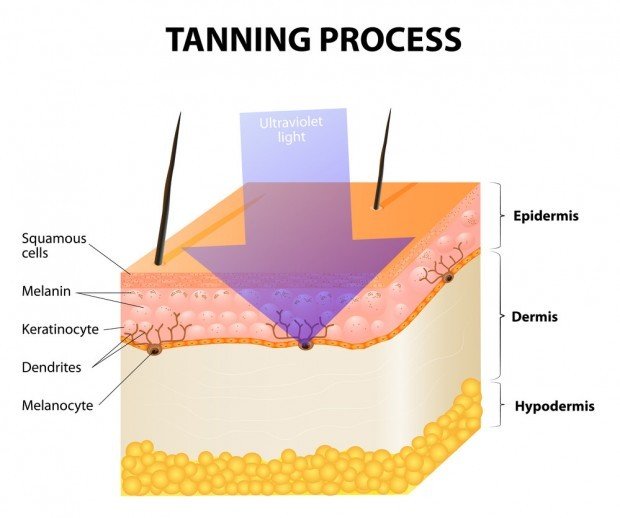 How Dangerous Are Tanning Beds Really How Dangerous Are Tanning Beds Really