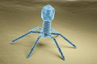 listeriosis