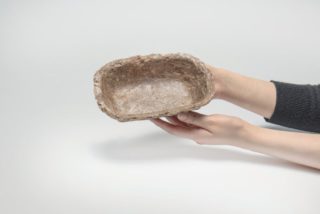 Food Packaging | Longevity LIVE