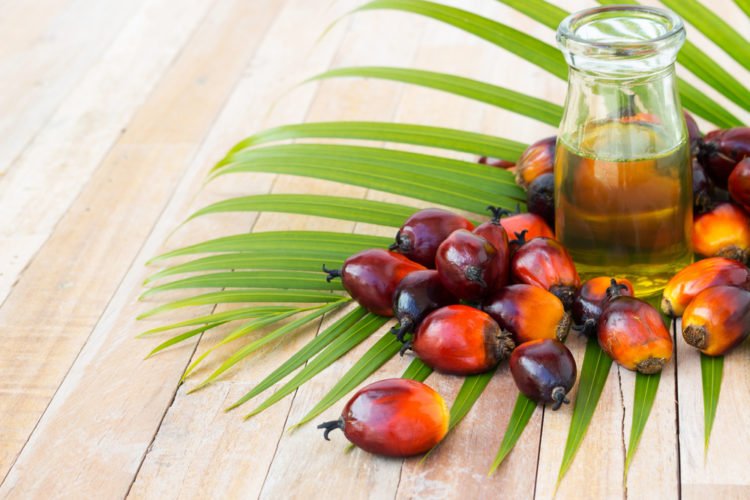 palm oil health