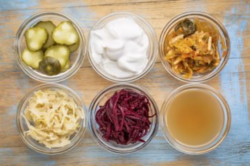 probiotics | Longevity Live