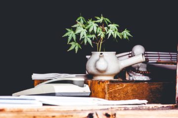 hemp | Longevity LIVE