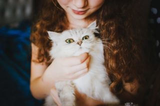 pet | Longevity LIVE