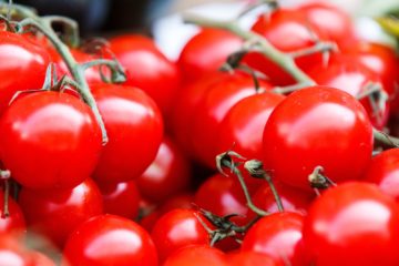 tomatoes | Longevity LIVE