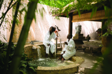 spa | Longevity LIVE