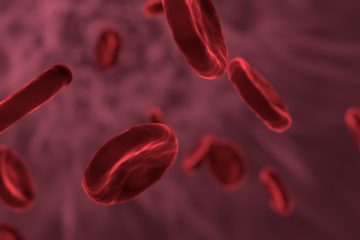 haemophilia | Longevity LIVE