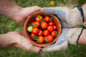 vegetables | Longevity LIVE