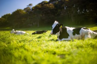 regenerative farming | Longevity lIVE