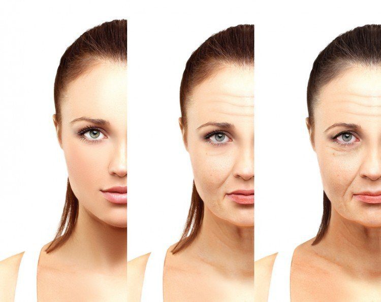 free radicals | Longevity LIVE