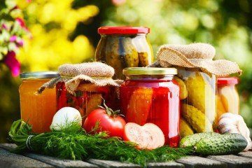 fermented | Longevity LIVE