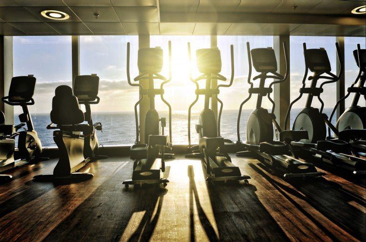 gym | Longevity LIVE