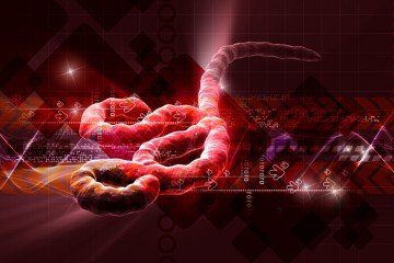 health | Longevity LIVE