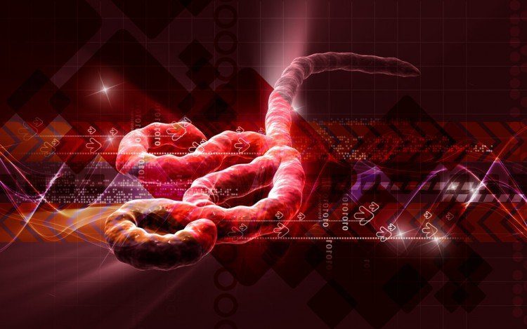 health | Longevity LIVE