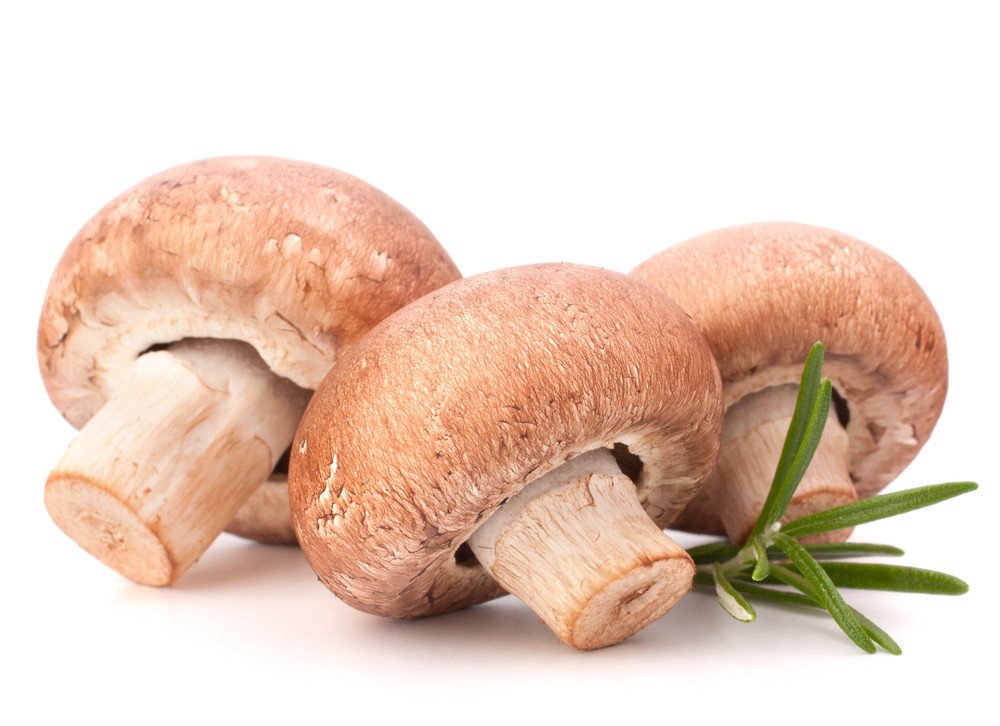 mushrooms breast cancer Article christian teen