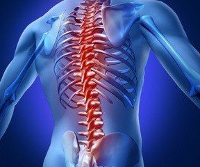 Spinal cord injuries