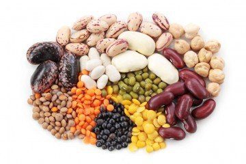 protein | Longevity Live