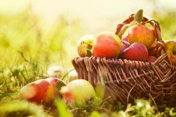 Fresh Food