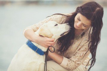 traveling with dog | Longevity Live