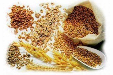 grain | Longevity LIVE