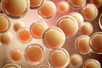 Anti-aging & stem cells