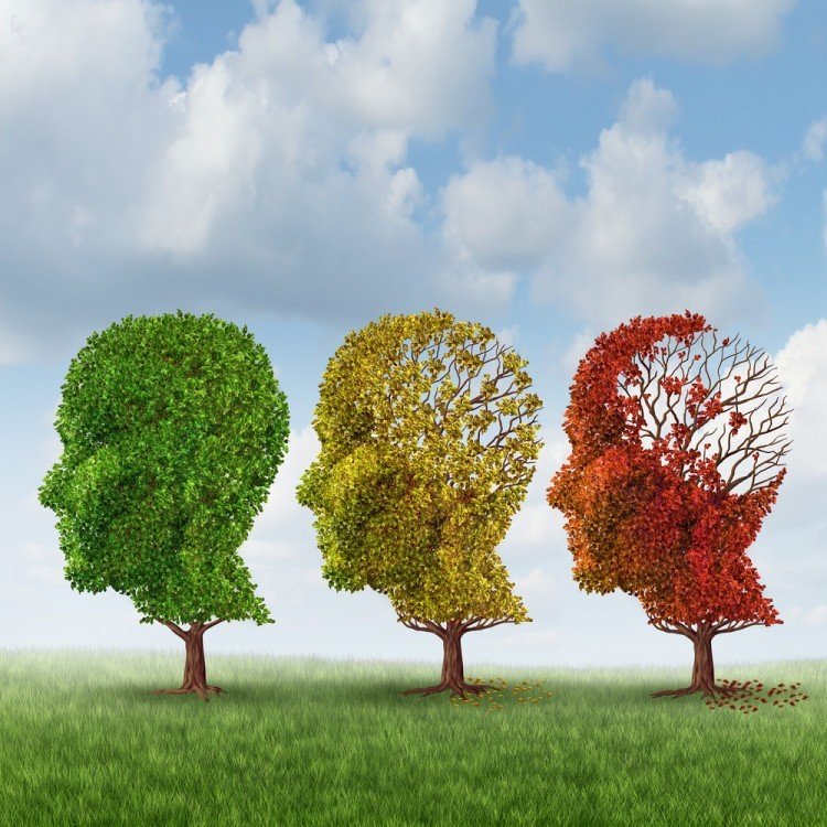 nootropics | Longevity LIVE
