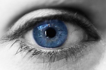Vision and contact lenses