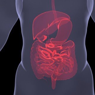 food allergies | Longevity LIVE