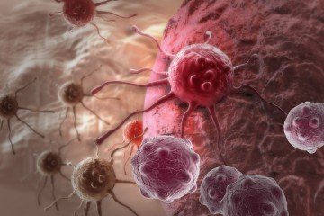 avocados fight cancer