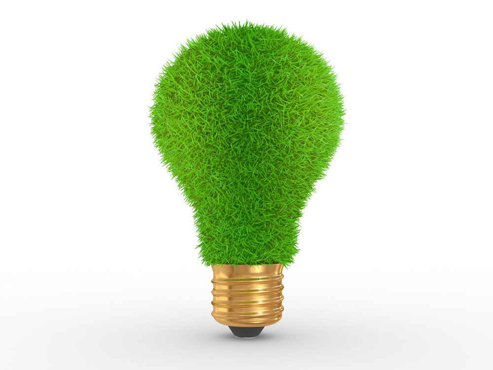 7 Eco-Friendly Products For Daily Life - Longevity LIVE