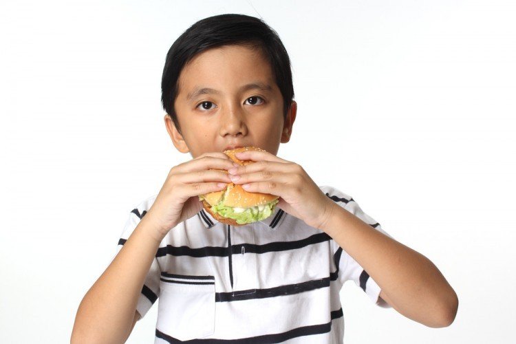 chicken burger and obesity