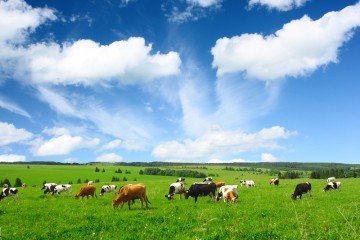 Farming for the future