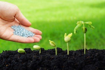 regenerative farming | Longevity LIVE