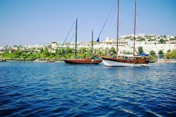 Turkish Aegean
