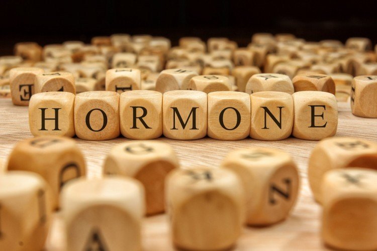 hormones | Longevity LIVE