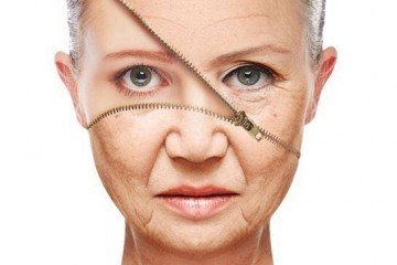active ingredients | Longevity LIVE