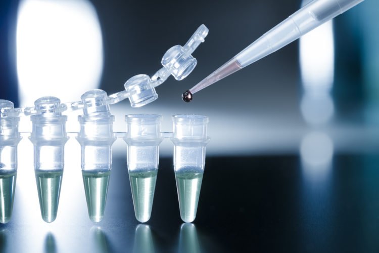 cancer stem | Longevity LIVE