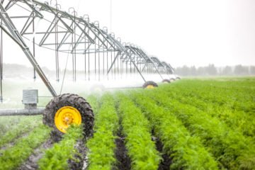 agriculture