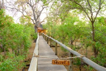 Eco-friendly Travel | Longevity LIVE