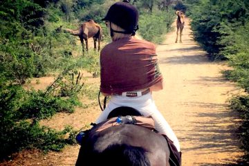 THE PRINCESS TRAILS