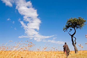 walking the earth | Longevity Live