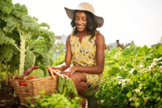 regenerative farming | Longevity Live