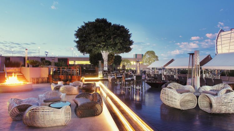 sandton sun | Longevity LIVE