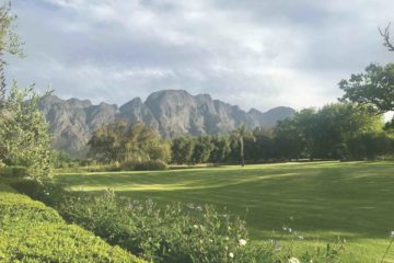 Detox retreat for Longevity