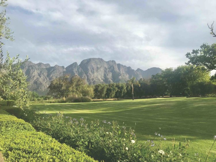 Detox retreat for Longevity