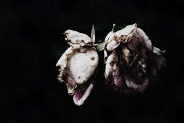 vaginal dryness | Longevity LIVE