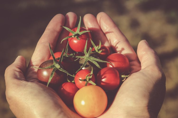 eco-friendly | Longevity LIVE