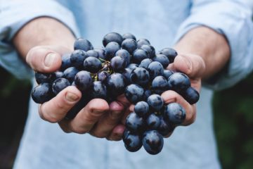 Resveratrol | Longevity LIVE